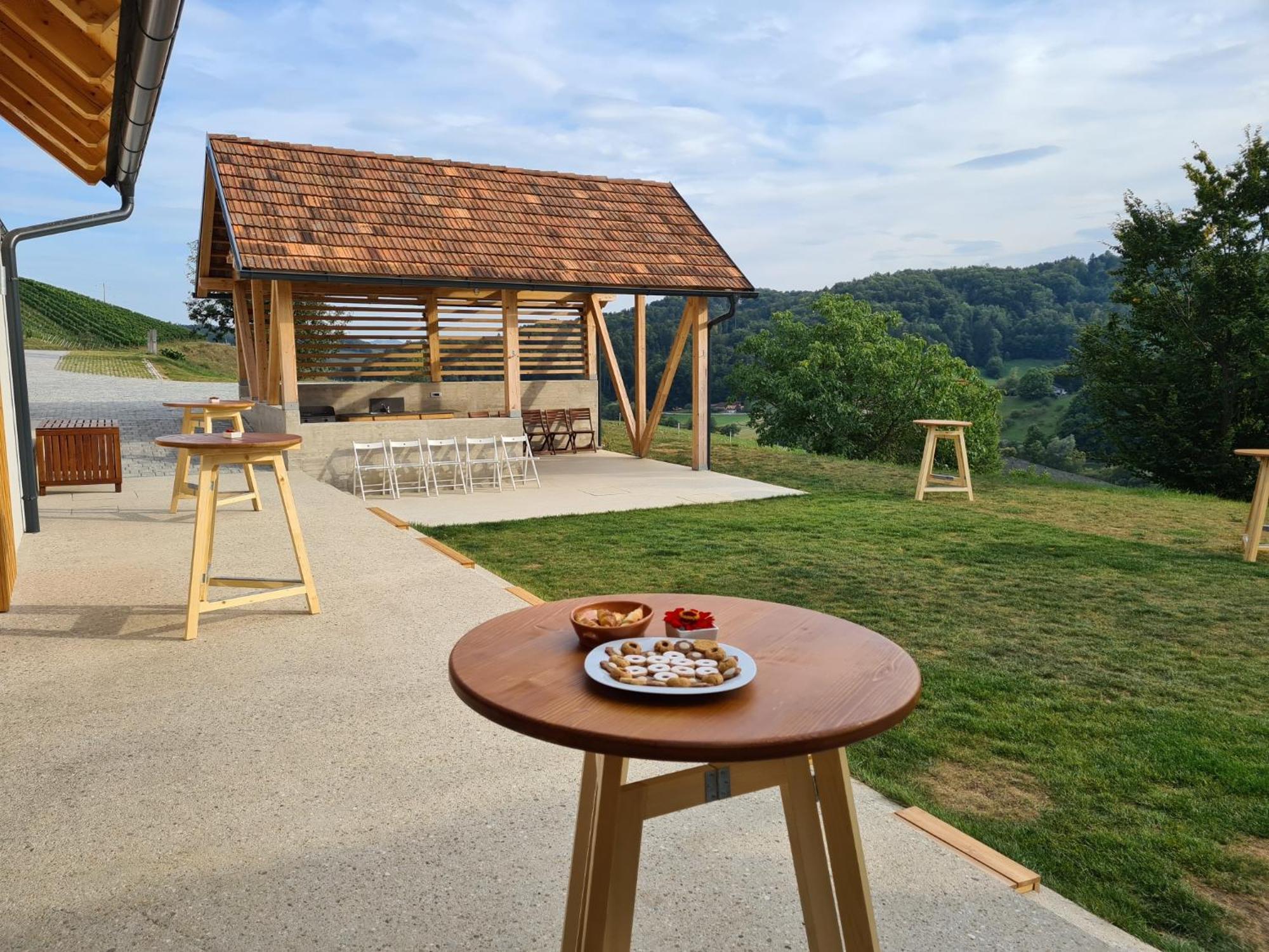 Hisa Sonca Toti Breg Guest House Svecina Exterior photo